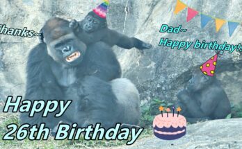 Happy 26th Birthday to Best Dad, D'jeeco