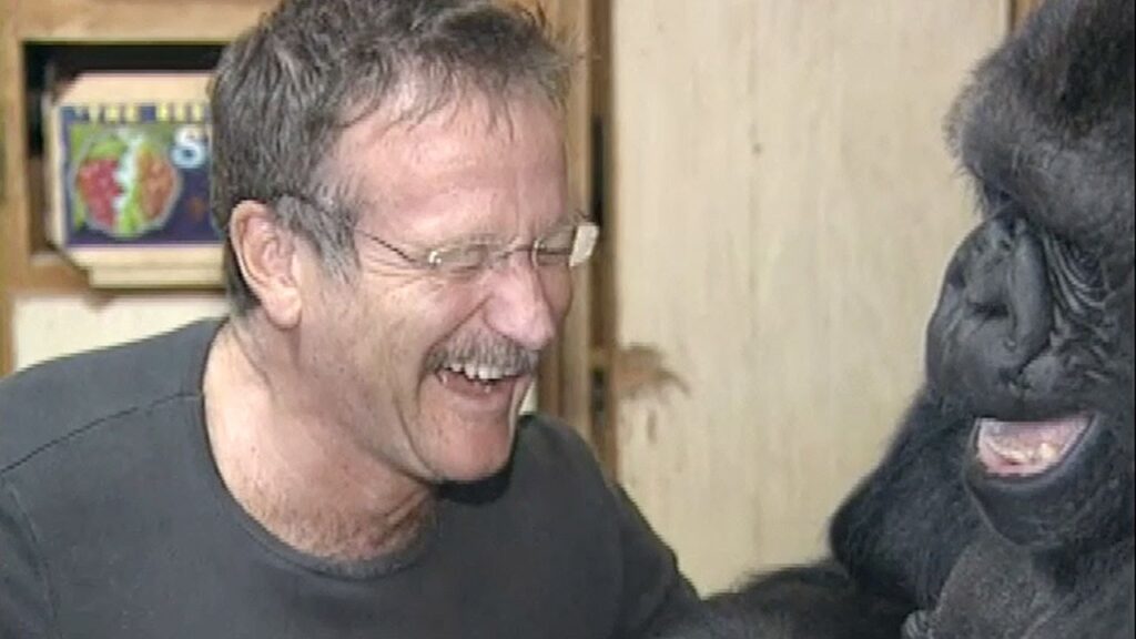 Koko's Tribute to Robin Williams