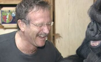 Koko's Tribute to Robin Williams