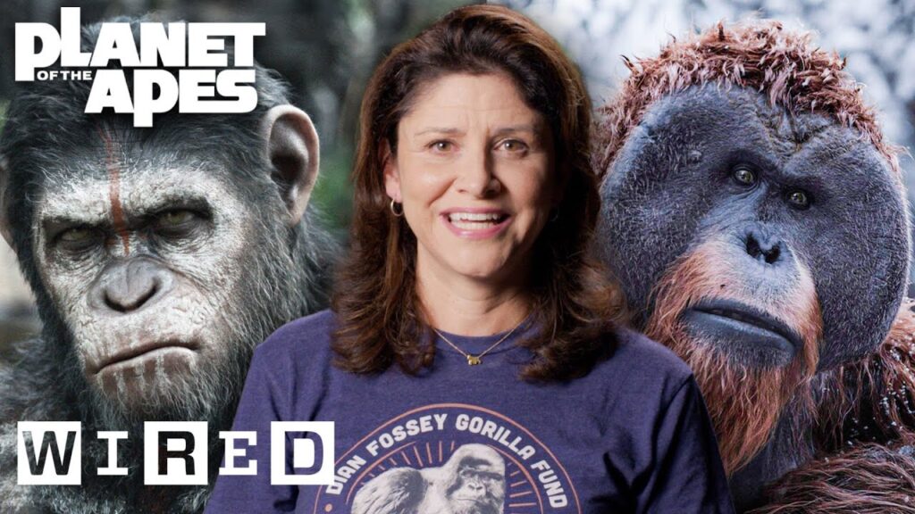 Every Ape in Planet of the Apes Explained | WIRED
