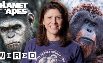 Every Ape in Planet of the Apes Explained | WIRED