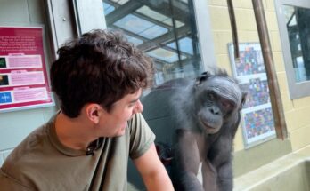 Apes Freaked Out When I Spoke Their Language